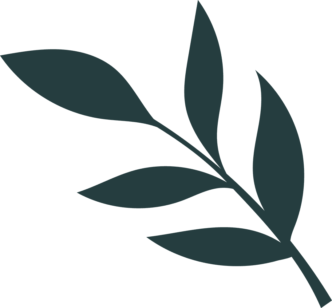 Minimalist Botanical Branch with Elongated Leaves on Transparent Background