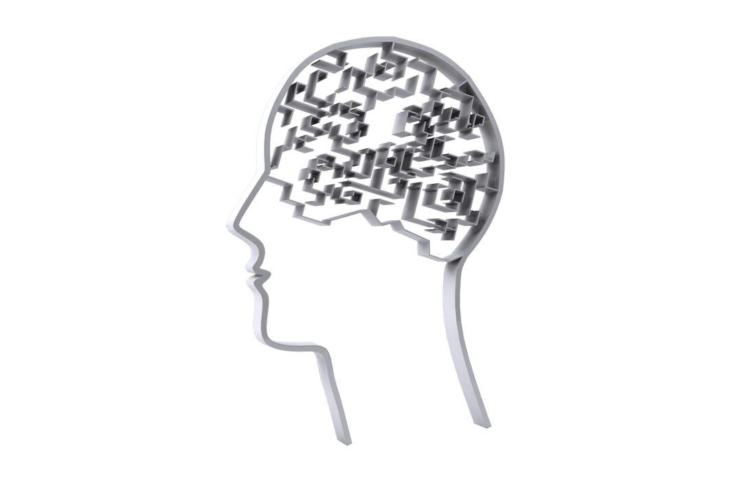 Transparent Maze Brain Concept Illustration on Grey Silhouette