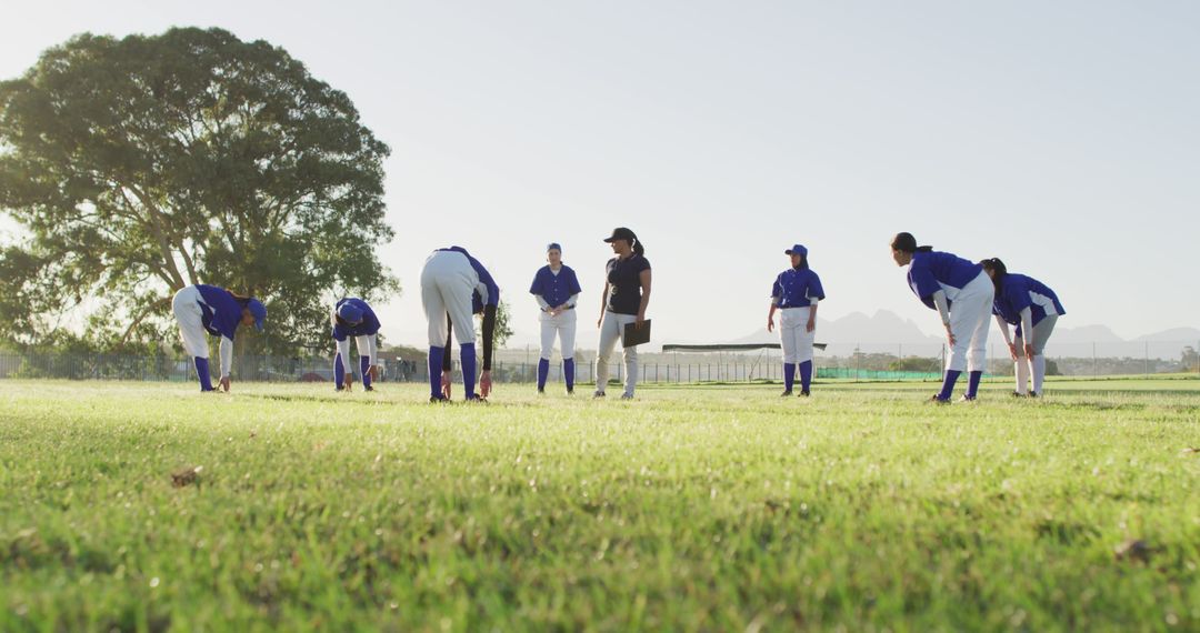 Young Baseball Team Stretching During Training on a Sunny Day - Free Images, Stock Photos and Pictures on Pikwizard.com