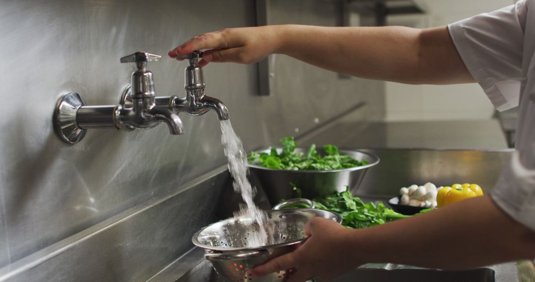 Close-up of chef washing greens in commercial kitchen sink - Free Images, Stock Photos and Pictures on Pikwizard.com