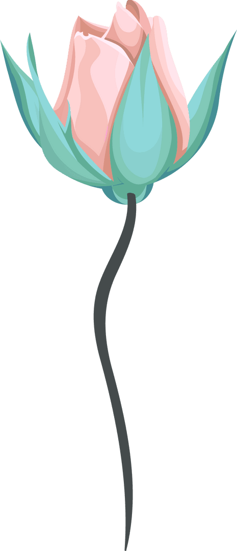 Transparent Botanical Illustration of Pale-Pink Flower Bud