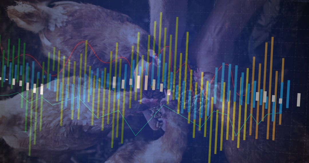 Poultry Carcass Visualization with Financial Analytics and Data Insights