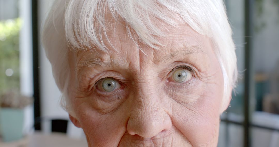 Close-up of Elderly Woman with Grey Hair and Expressive Eyes - Free Images, Stock Photos and Pictures on Pikwizard.com