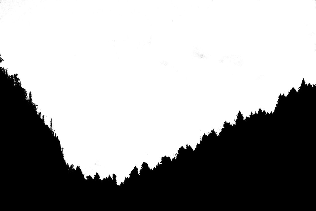 Forest Silhouettes with Fir Trees on Transparent Background