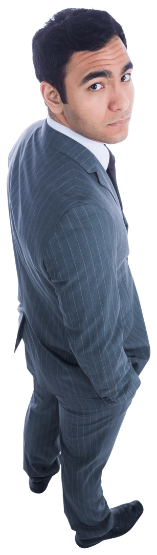 Transparent Portrait of Confident Biracial Businessman