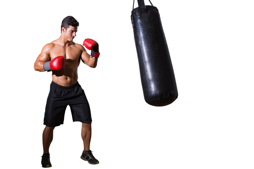 Caucasian Male Boxer Punching Punching Bag Isolated PNG on Transparent Background - Download Free Stock Images Pikwizard.com