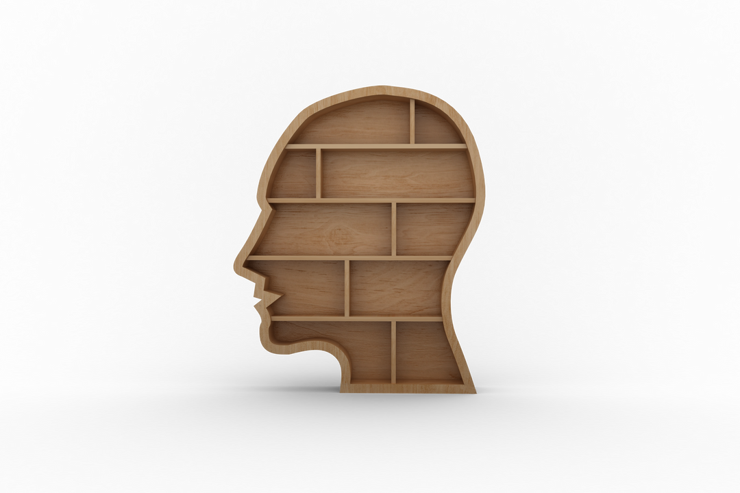 Transparent Human Head Shaped Bookcase with Empty Shelves - Download Free Stock Images Pikwizard.com