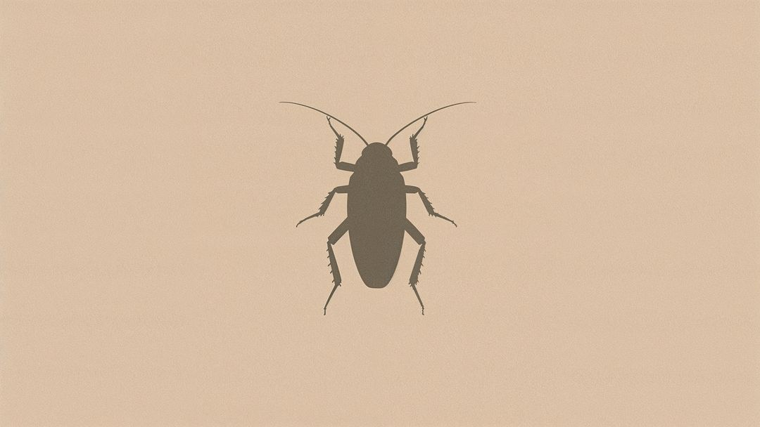 Cockroach Silhouette On Clean Beige Background