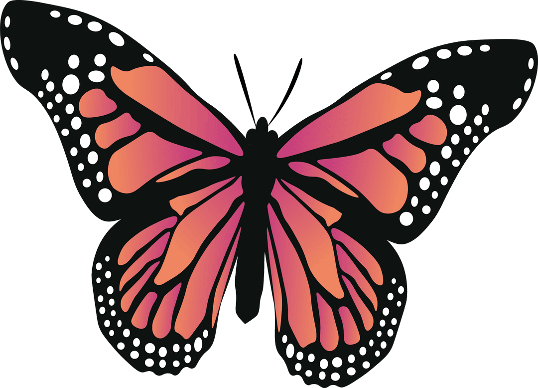 Elegant Flat Butterfly with Orange-Pink Wings on Transparent Background