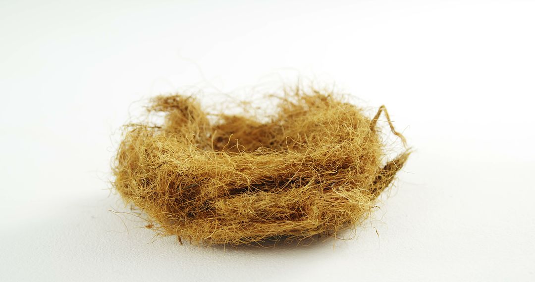 Empty Bird Nest Made of Natural Fibers on White Background - Free Images, Stock Photos and Pictures on Pikwizard.com