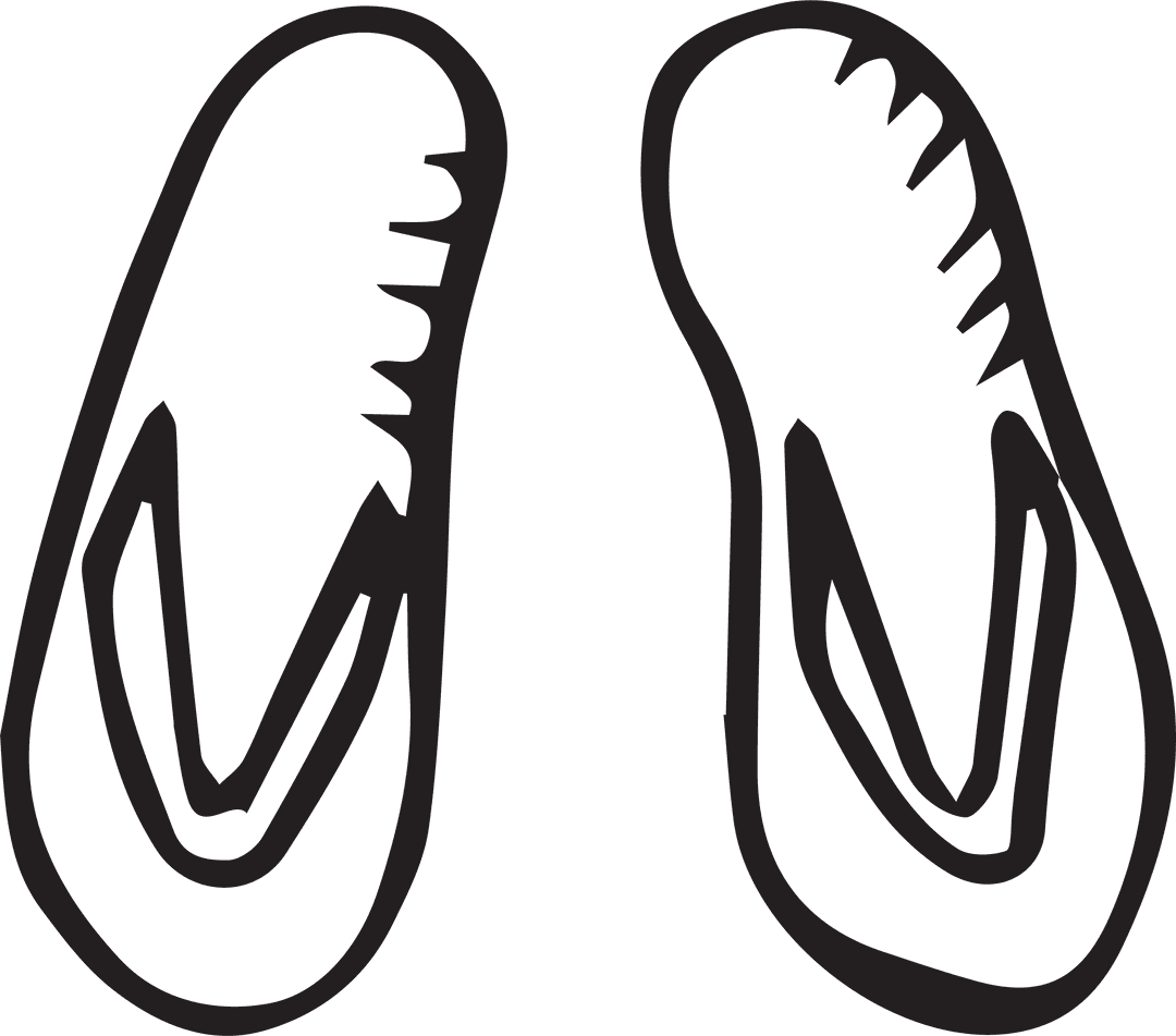 Digital Illustration of Flip Flops on Transparent Background