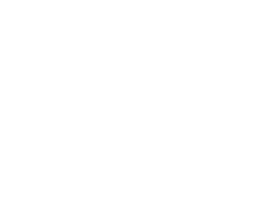 Barbell PNG Silhouette of People Lifting on Transparent Background - Download Free Stock Images Pikwizard.com