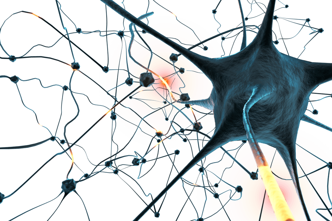 Transparent Neural Network Plexus with Vibrant Connections - Download Free Stock Images Pikwizard.com