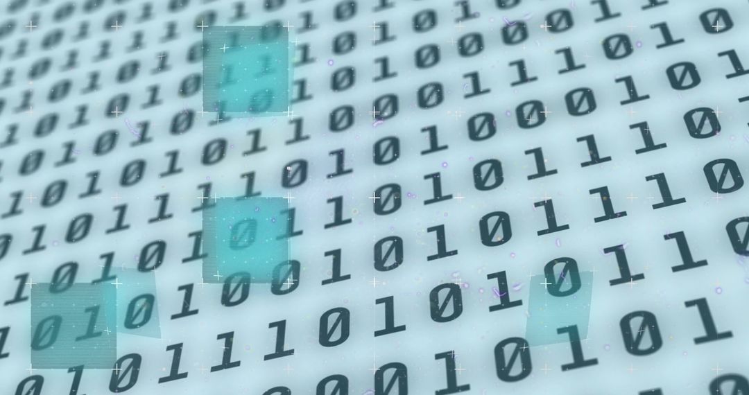 Dynamic binary code with digital interface overlay