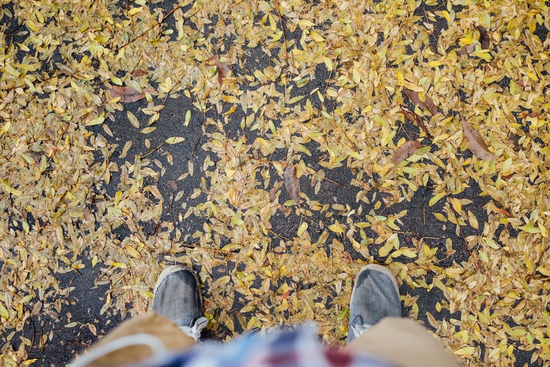 Person Standing on Ground Covered with Yellow Autumn Leaves - Free Images, Stock Photos and Pictures on Pikwizard.com