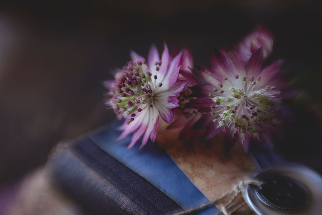 Close-up of delicate flowers on soft bokeh background for book designs