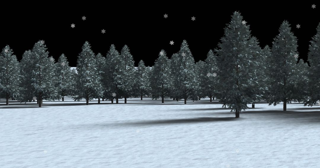 Snow Falling Over Forest of Evergreens at Night