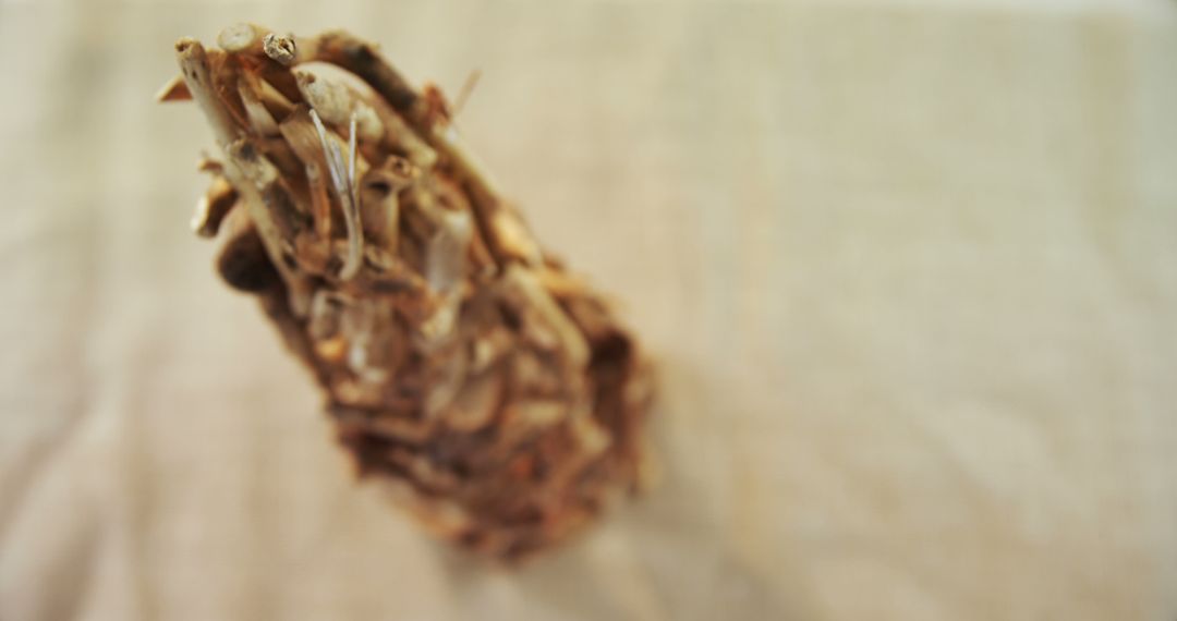 Dried Pine Cone on Burlap Background - Free Images, Stock Photos and Pictures on Pikwizard.com