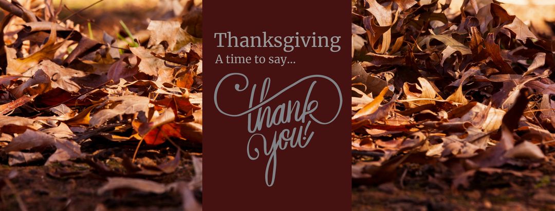 Thanksgiving Greetings with Autumn Leaves Background