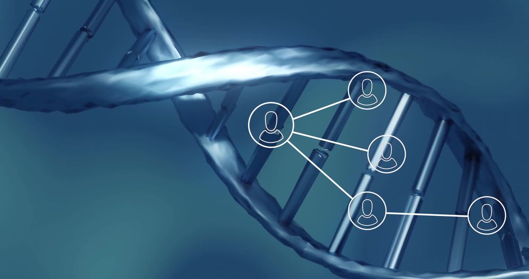 Digital Interface Connecting User Profiles with DNA Strand Symbolism