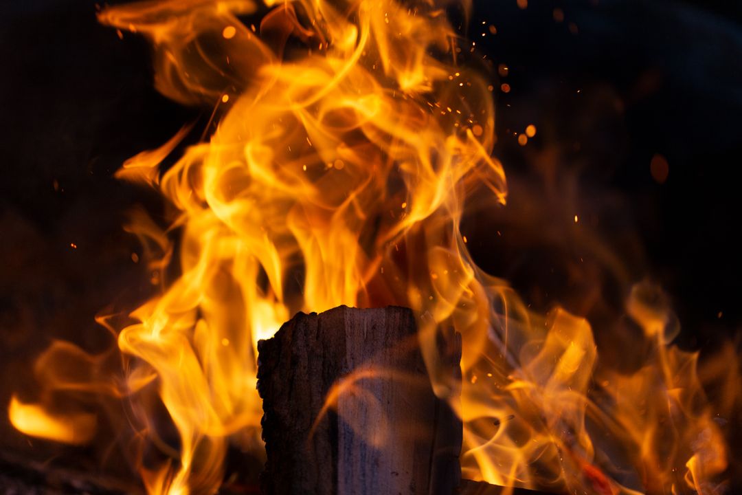 Blazing Orange Flames Burning around Charred Firewood Log Close-Up