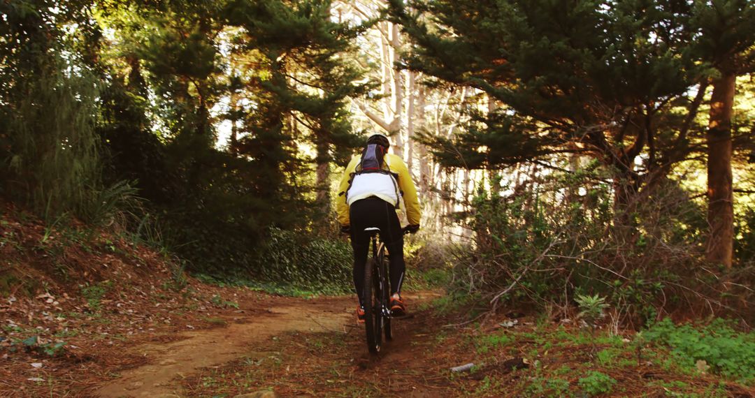 Cyclist riding mountain bike on forest trail - Free Images, Stock Photos and Pictures on Pikwizard.com