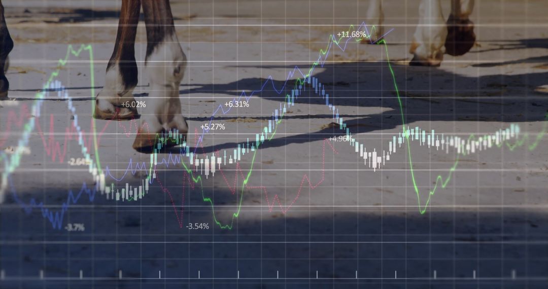 Horses in Motion with Financial Market Analysis Concept
