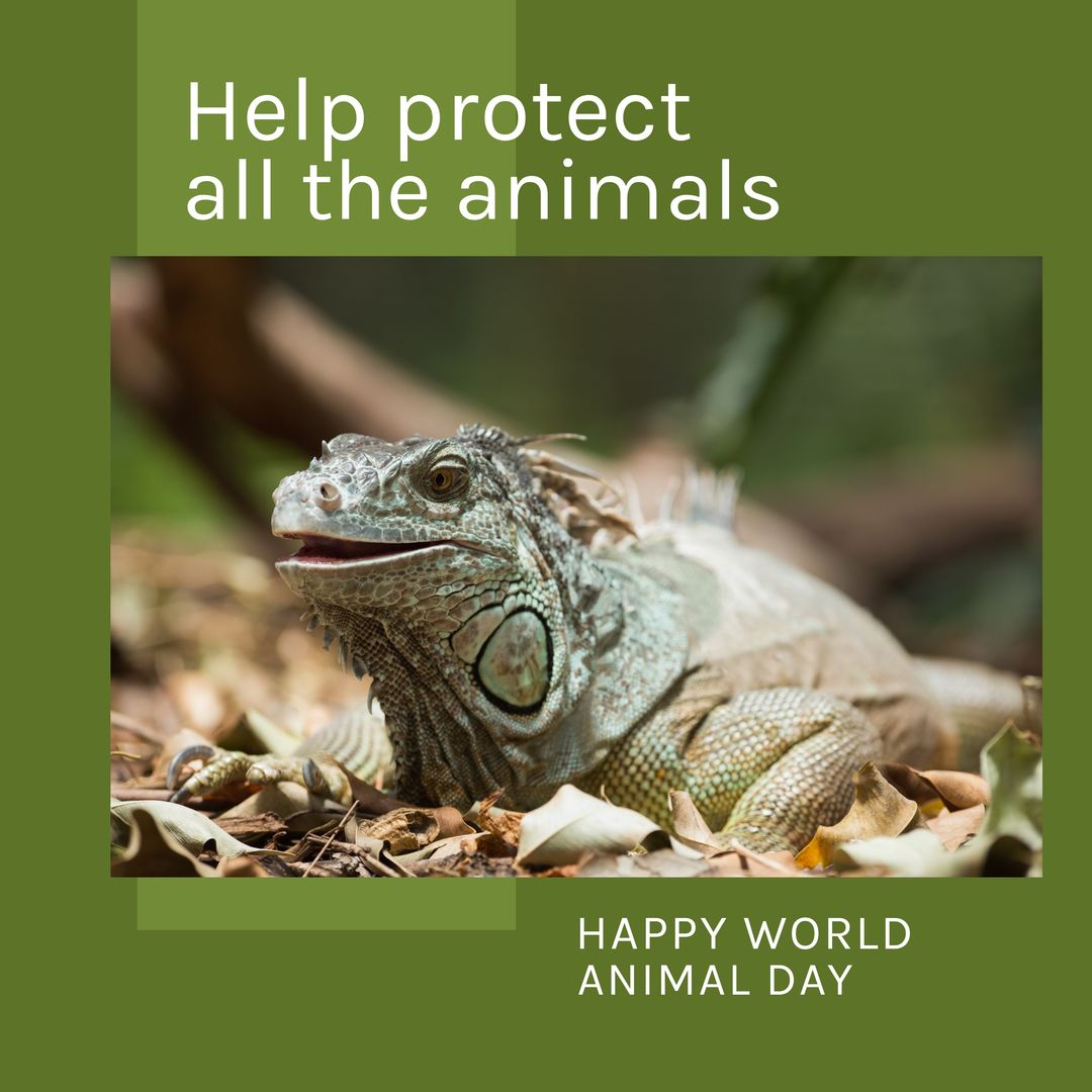 Composition of help protect all the animals happy world animal day text over lizard - Download Free Stock Templates Pikwizard.com