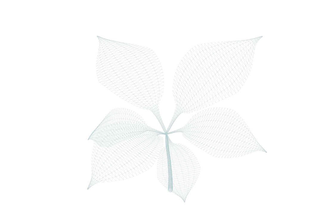 3D Transparent Plant Leaves Abstract Mesh Artwork