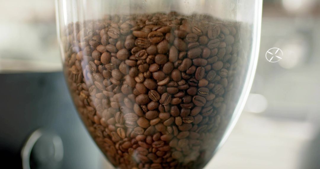Close-Up of Roasted Coffee Beans in Transparent Hopper