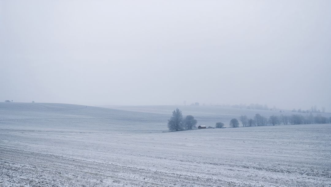 Foggy winter landscape stretching across snow-dusted plowed fields with farmstead and bare trees