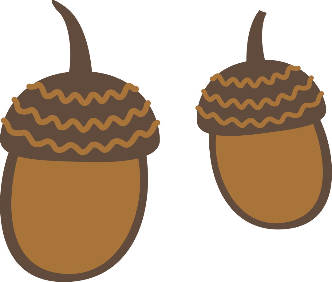 Stylish Acorn Pair with Wavy Caps on Transparent Background