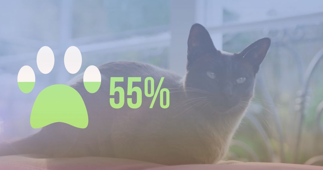Cat Representation with Digital Percentage for International Cat Day