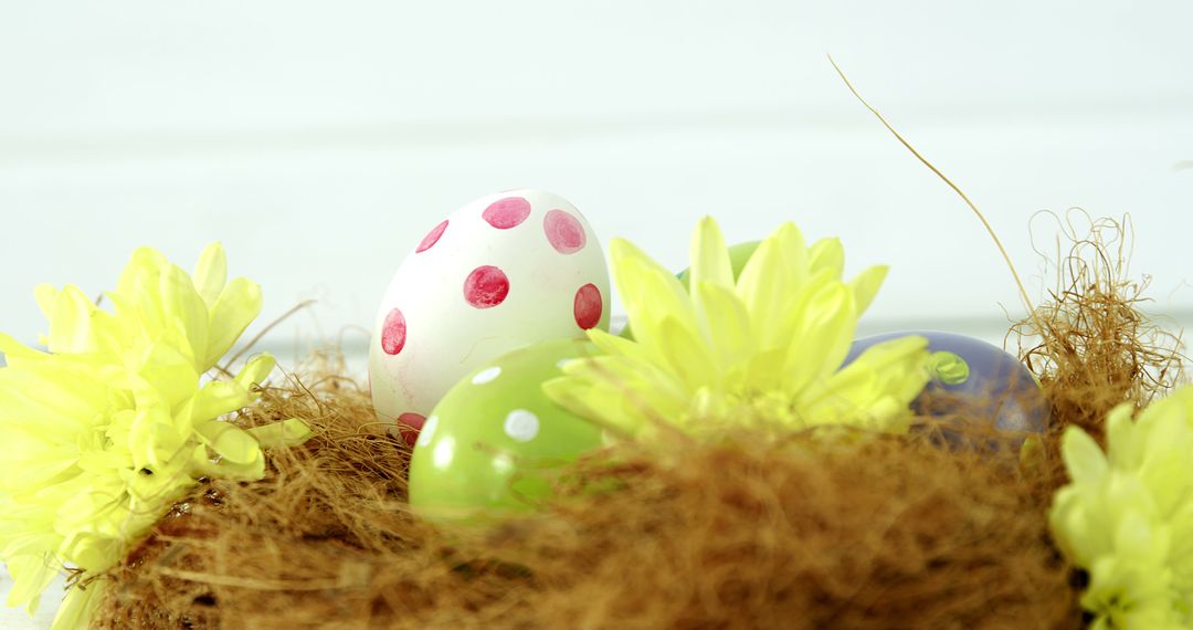 Colorful polka-dotted Easter eggs in a nest embody the holiday's egg-hunting tradition. - Free Images, Stock Photos and Pictures on Pikwizard.com