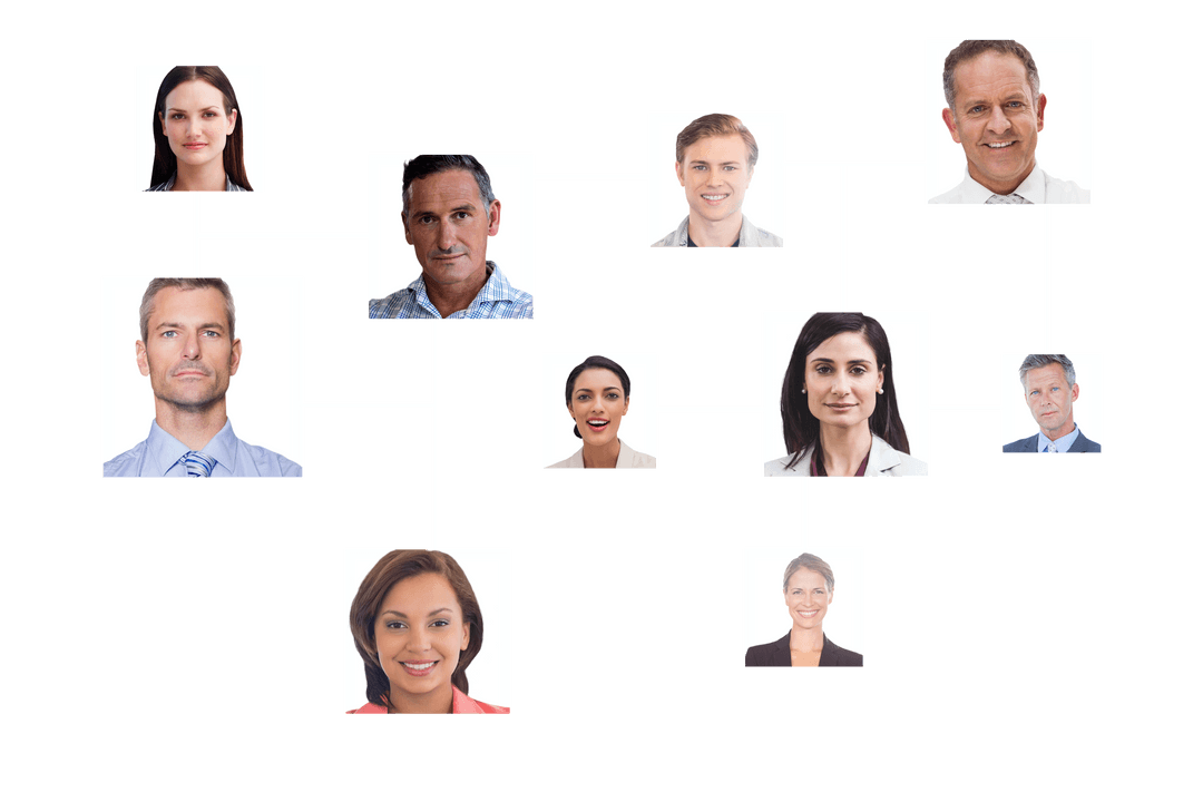 Business Network Connections on Transparent Background Illustration