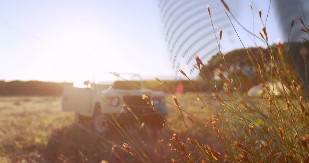 Vehicle in Serene Meadow at Sunset
