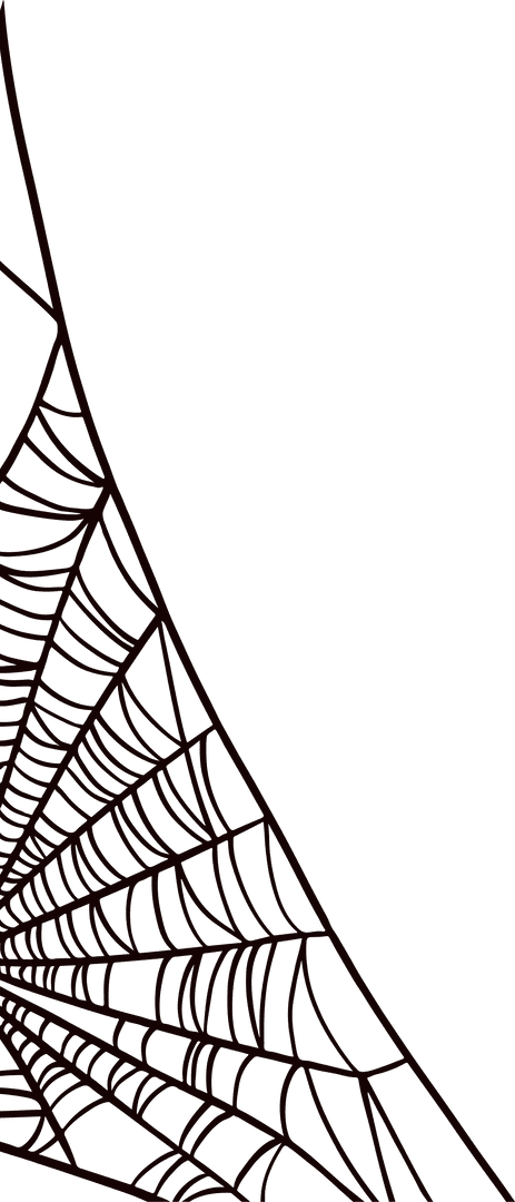 Intricate Radial Spider Web on Transparent Background