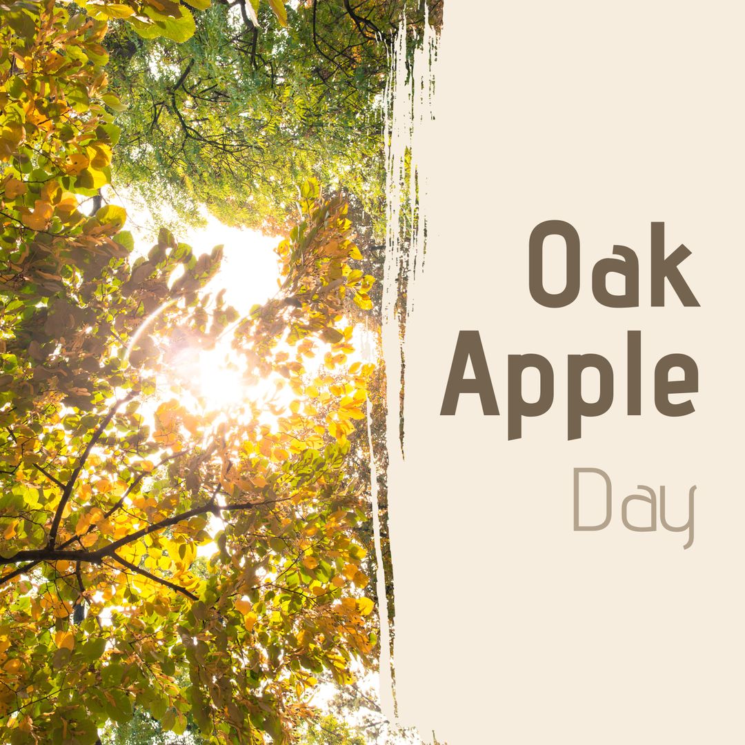 Sunlit Apple Tree Leaves, Oak Apple Day Celebration Background - Download Free Stock Templates Pikwizard.com