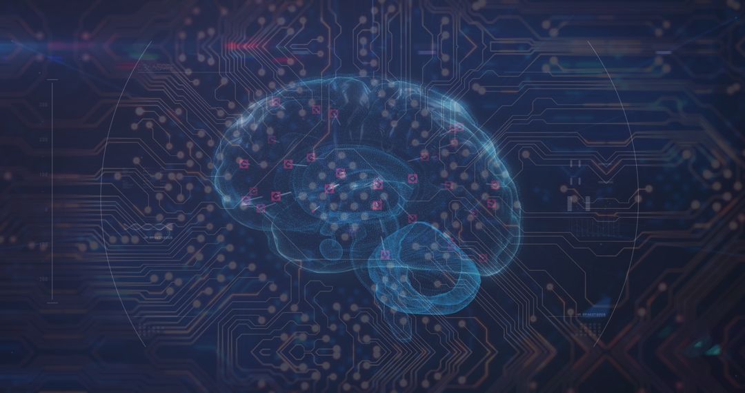 Holographic Brain Display on Digital Circuit Background