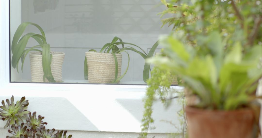 Window with Rustic Basket Planters and Lush Greenery