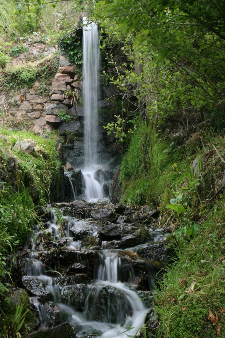 Peaceful Waterfall Flowing Through Lush Green Forest - Free Images, Stock Photos and Pictures on Pikwizard.com