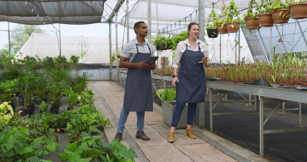 Diverse Gardeners Discussing Horticulture in Lush Greenhouse