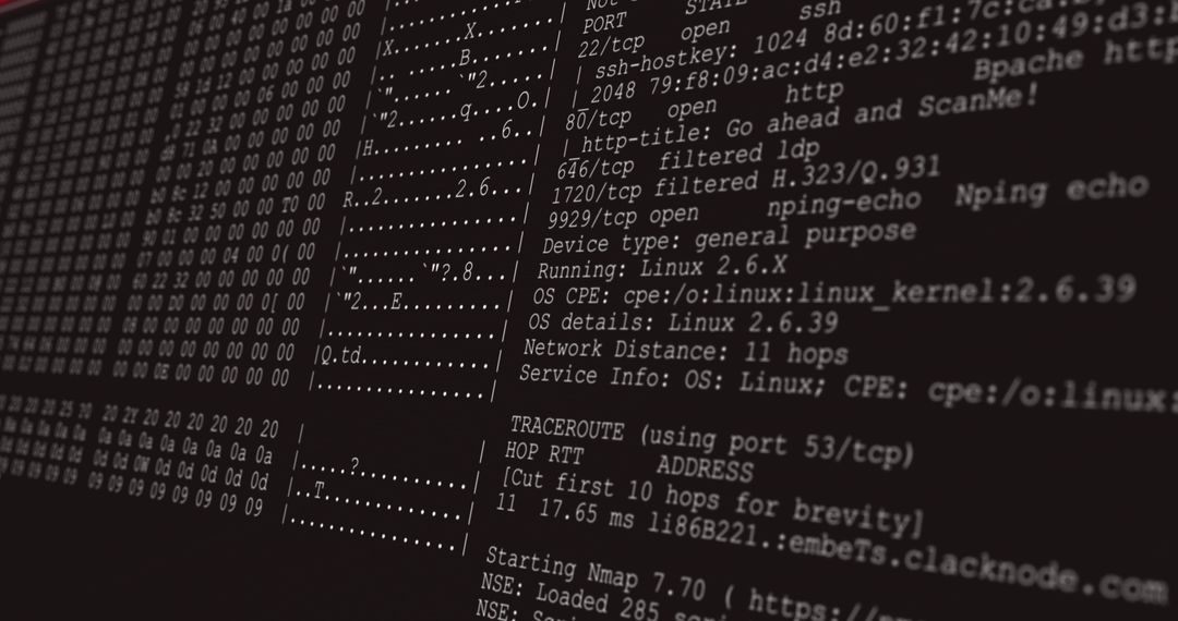 Digital Data Processing on Black Computer Screen with Command Lines - Free Images, Stock Photos and Pictures on Pikwizard.com