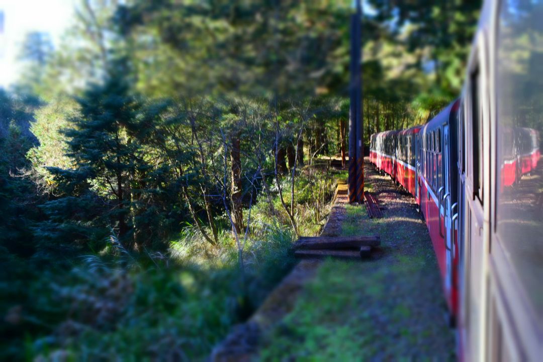 Red Train Traveling Through Forested Landscape - Free Images, Stock Photos and Pictures on Pikwizard.com