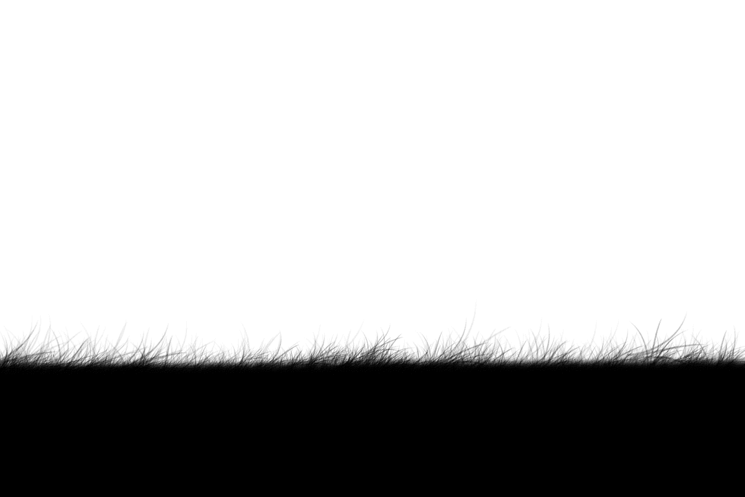 Silhouette of Grassy Plains on Transparent Background