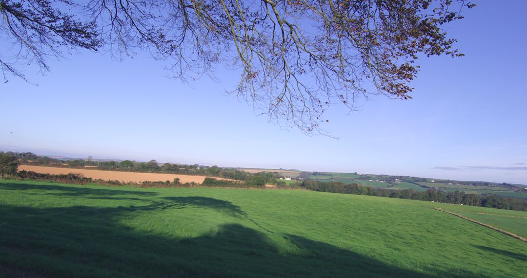 Peaceful Countryside Landscape with Green Fields and Blue Sky - Free Images, Stock Photos and Pictures on Pikwizard.com