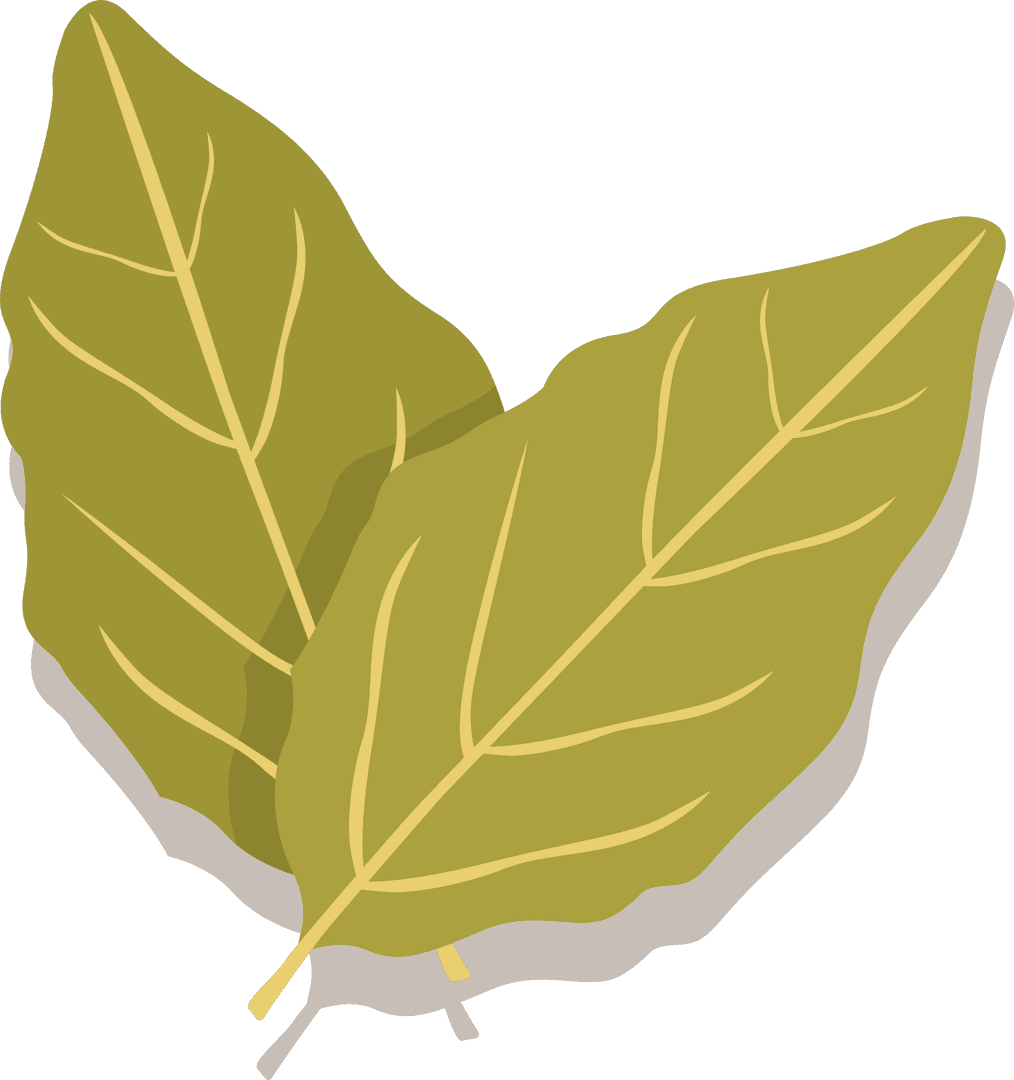 Minimalistic Olive-Green Leaves on Transparent Background