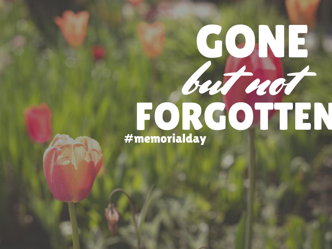 Memorial Day Commemoration with Vibrant Spring Tulips