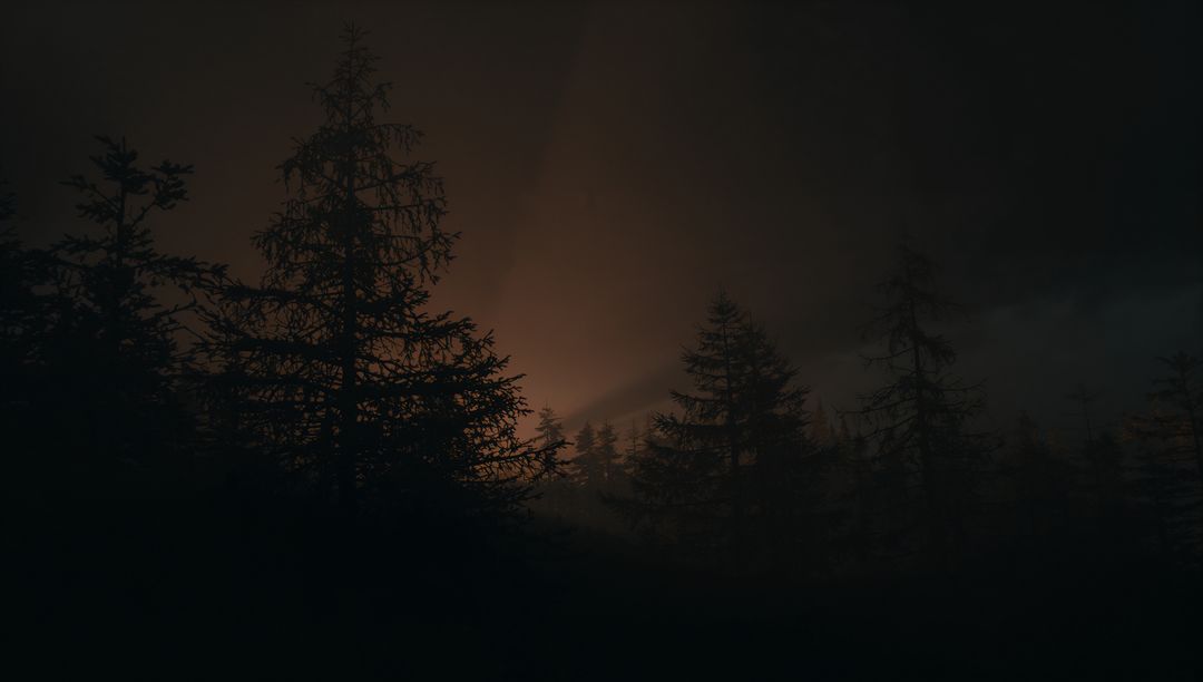 Moody Conifer Silhouettes at Dusk with Mist and Warm Horizon Glow, Forest Twilight