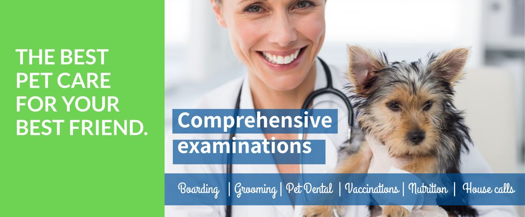 Smiling veterinarian holding dog promoting pet healthcare